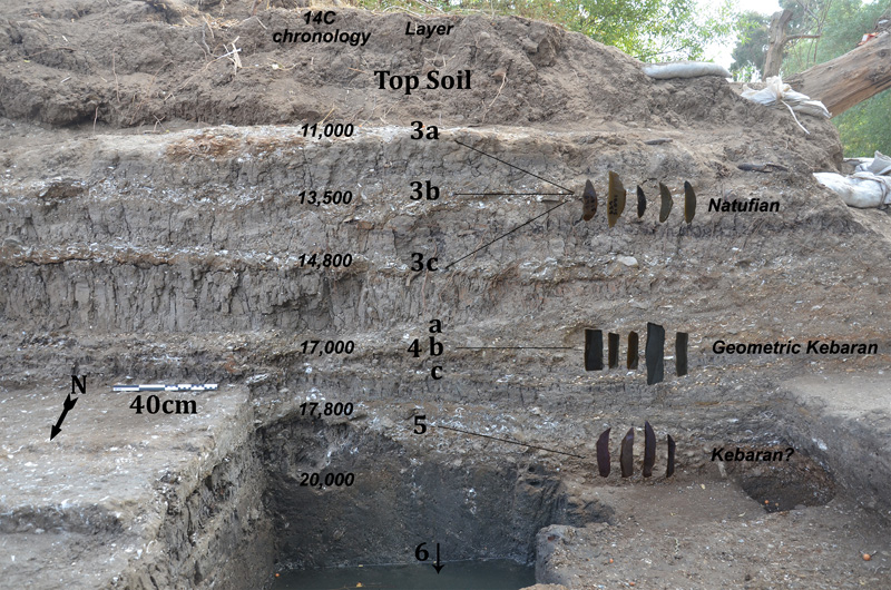 JRD Stratigraphy