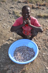 Rosinga Island, Kenya